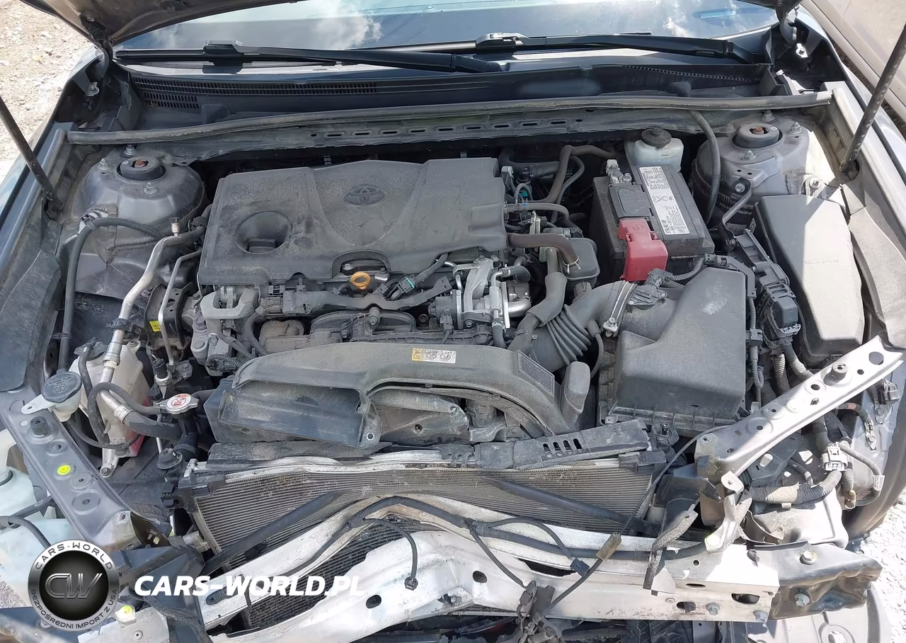 2019 Toyota Camry Xle VIN:4T1B11HK6KU251260 - 10