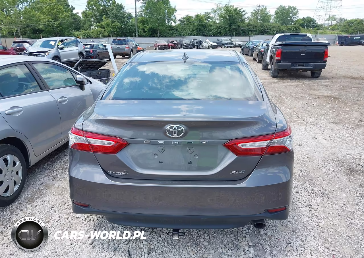 2019 Toyota Camry Xle VIN:4T1B11HK6KU251260 - 17
