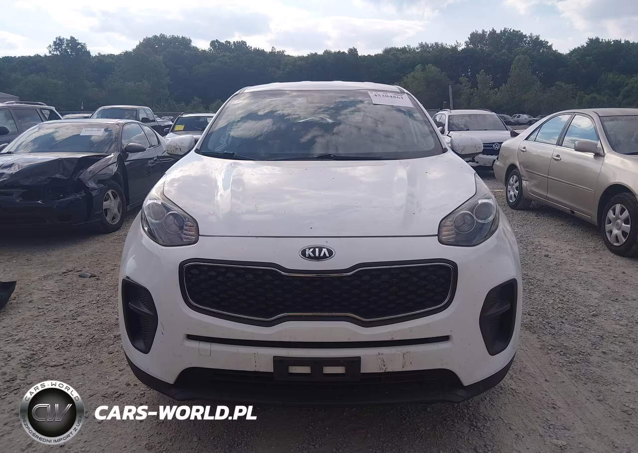 2018 Kia Sportage Lx VIN:KNDPM3AC8J7488295 - 12