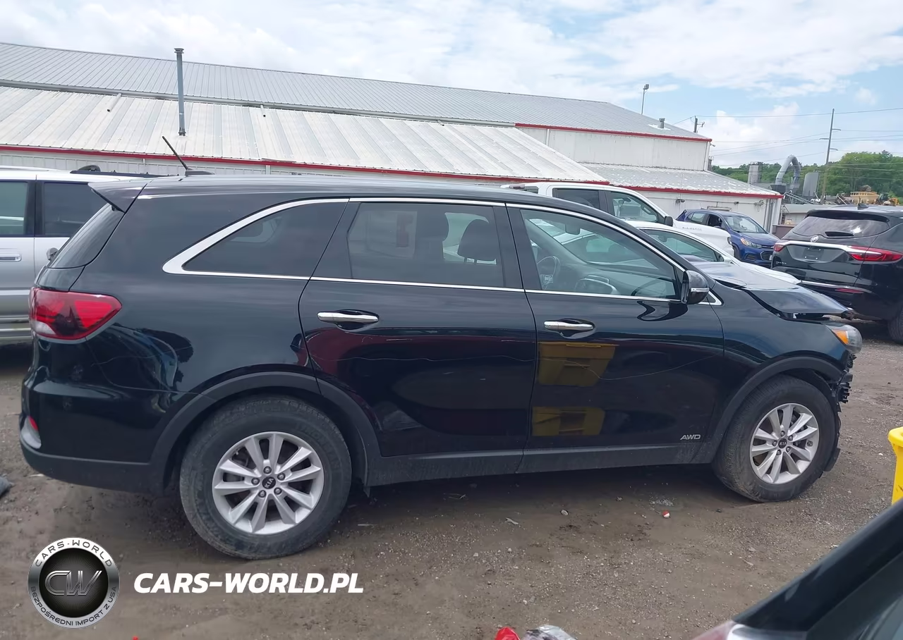 2020 Kia Sorento 2.4L Lx VIN:5XYPGDA35LG650645 - 14