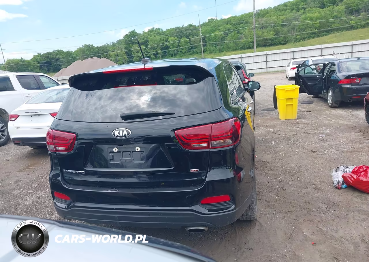 2020 Kia Sorento 2.4L Lx VIN:5XYPGDA35LG650645 - 17