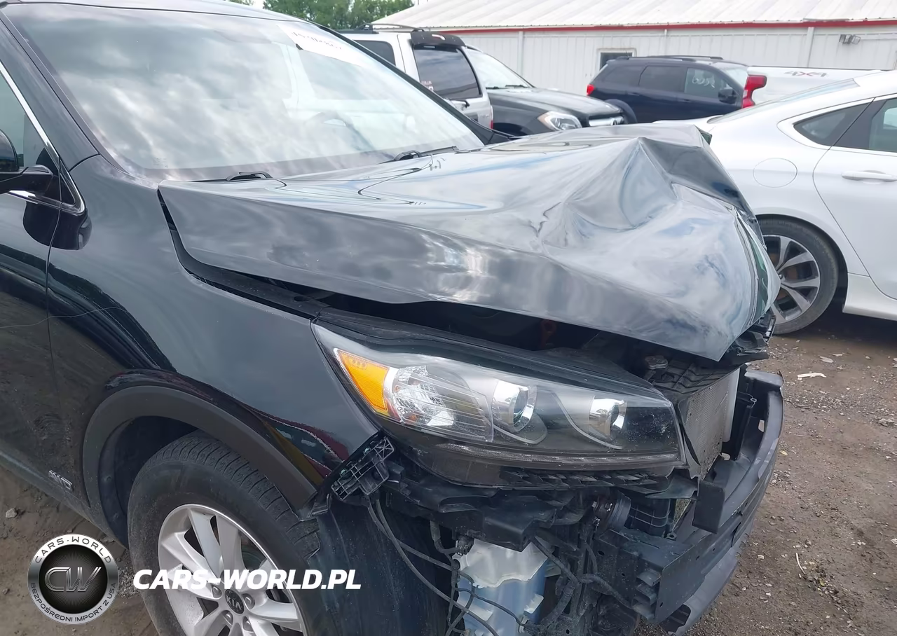 2020 Kia Sorento 2.4L Lx VIN:5XYPGDA35LG650645 - 18