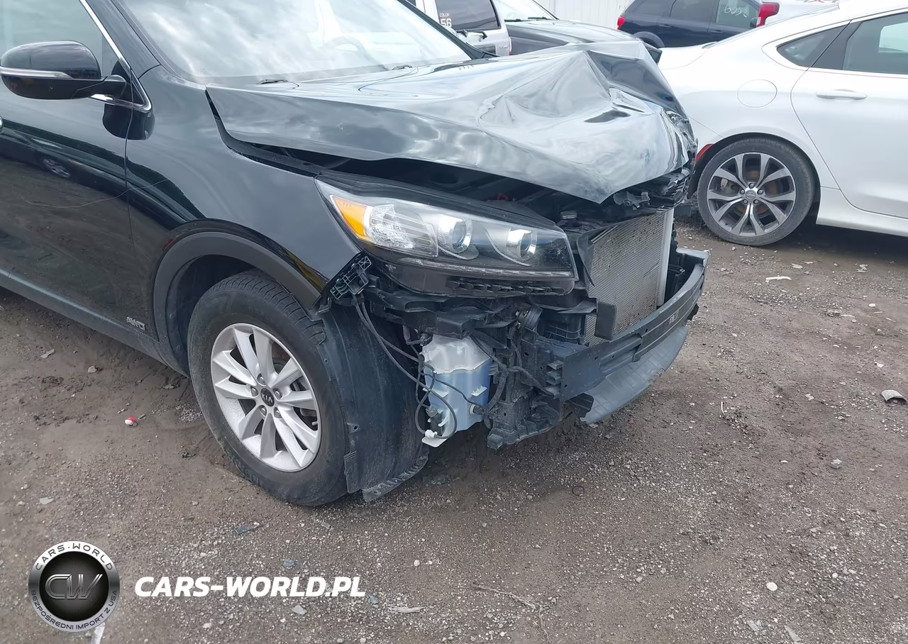 2020 Kia Sorento 2.4L Lx VIN:5XYPGDA35LG650645 - 19