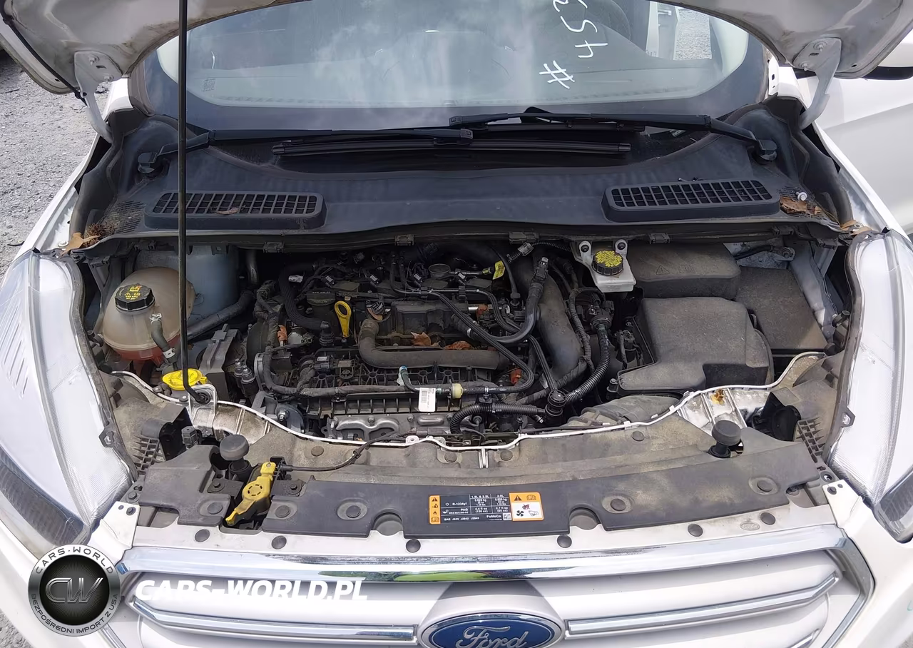 2019 Ford Escape Se VIN:1FMCU0GD6KUC44981 - 10