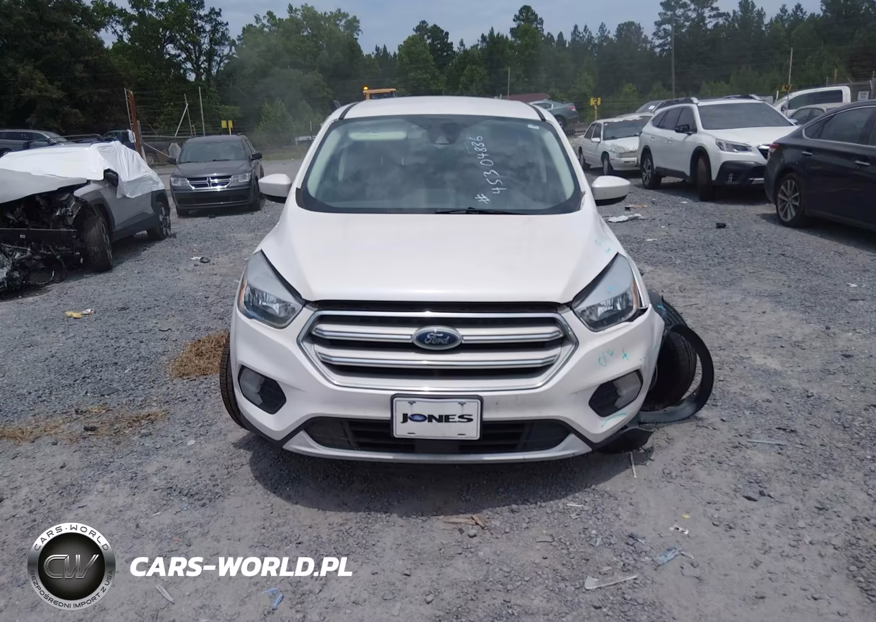 2019 Ford Escape Se VIN:1FMCU0GD6KUC44981 - 12