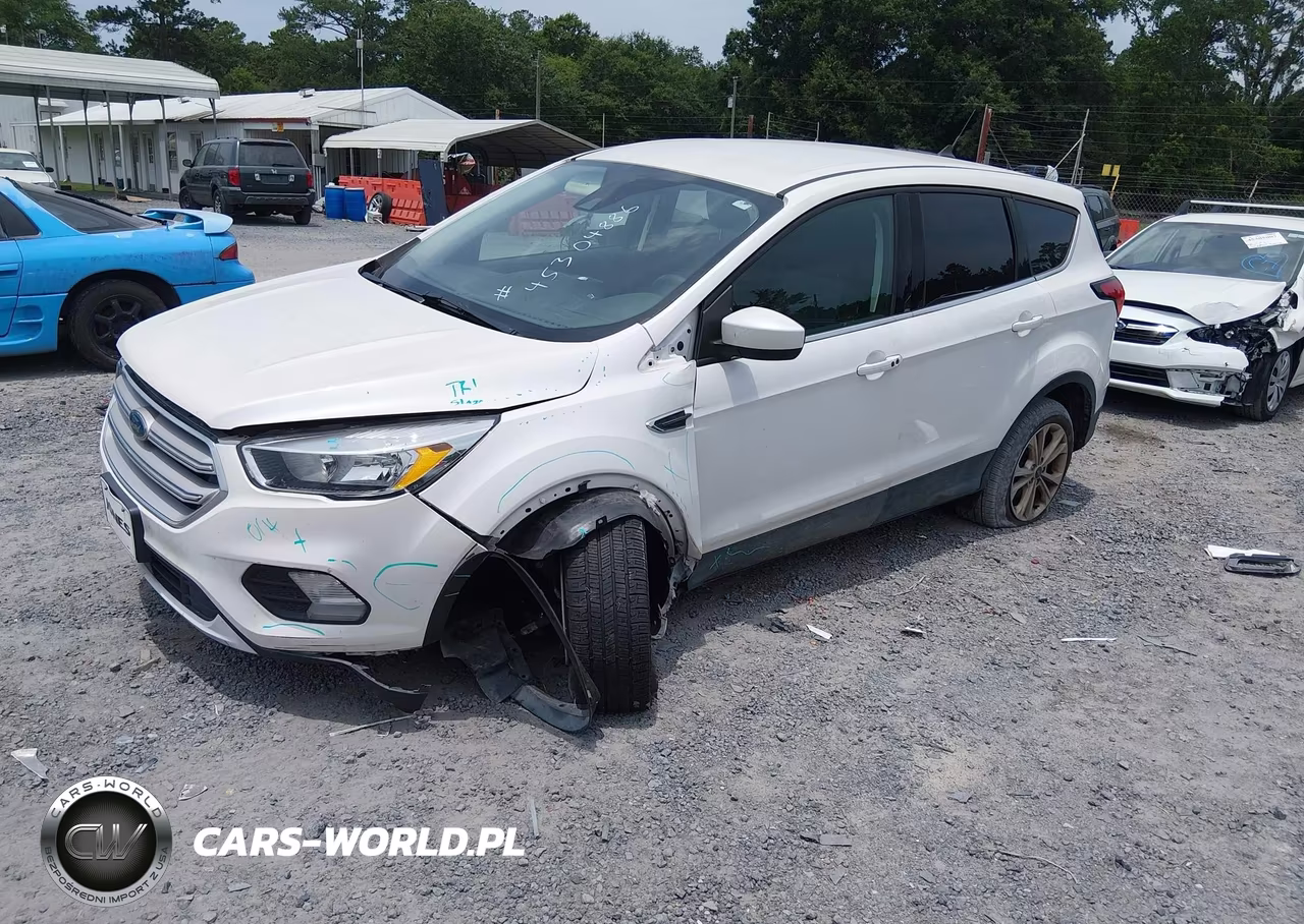 2019 Ford Escape Se VIN:1FMCU0GD6KUC44981 - 2