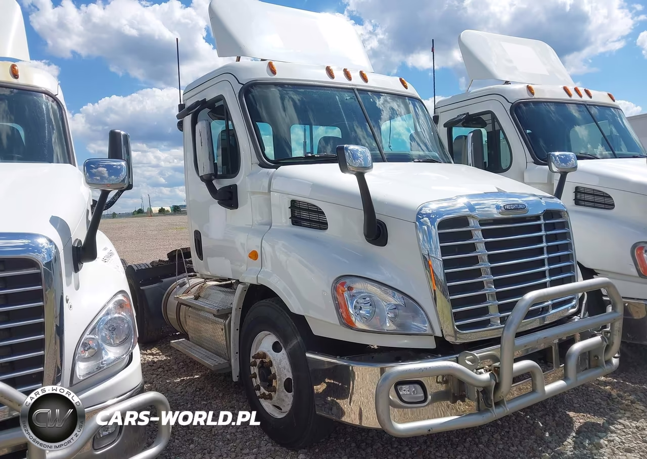 2013 Freightliner Cascadia 113