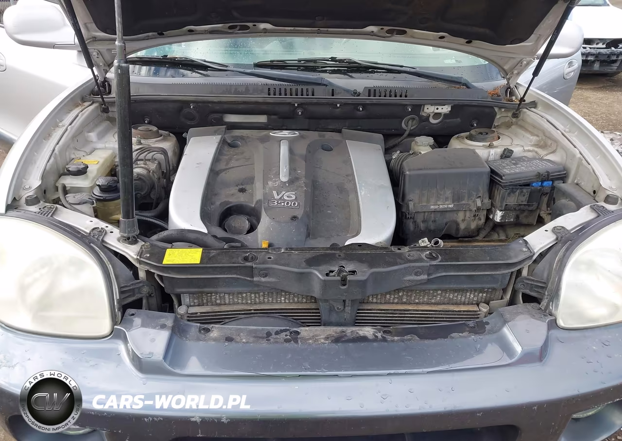 2003 Hyundai Santa Fe Gls-Lx VIN:KM8SC73E63U537027 - 10