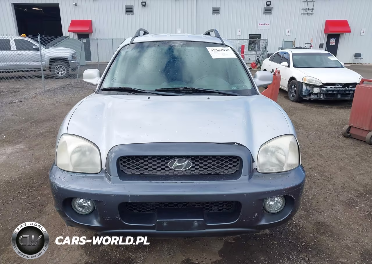 2003 Hyundai Santa Fe Gls-Lx VIN:KM8SC73E63U537027 - 11