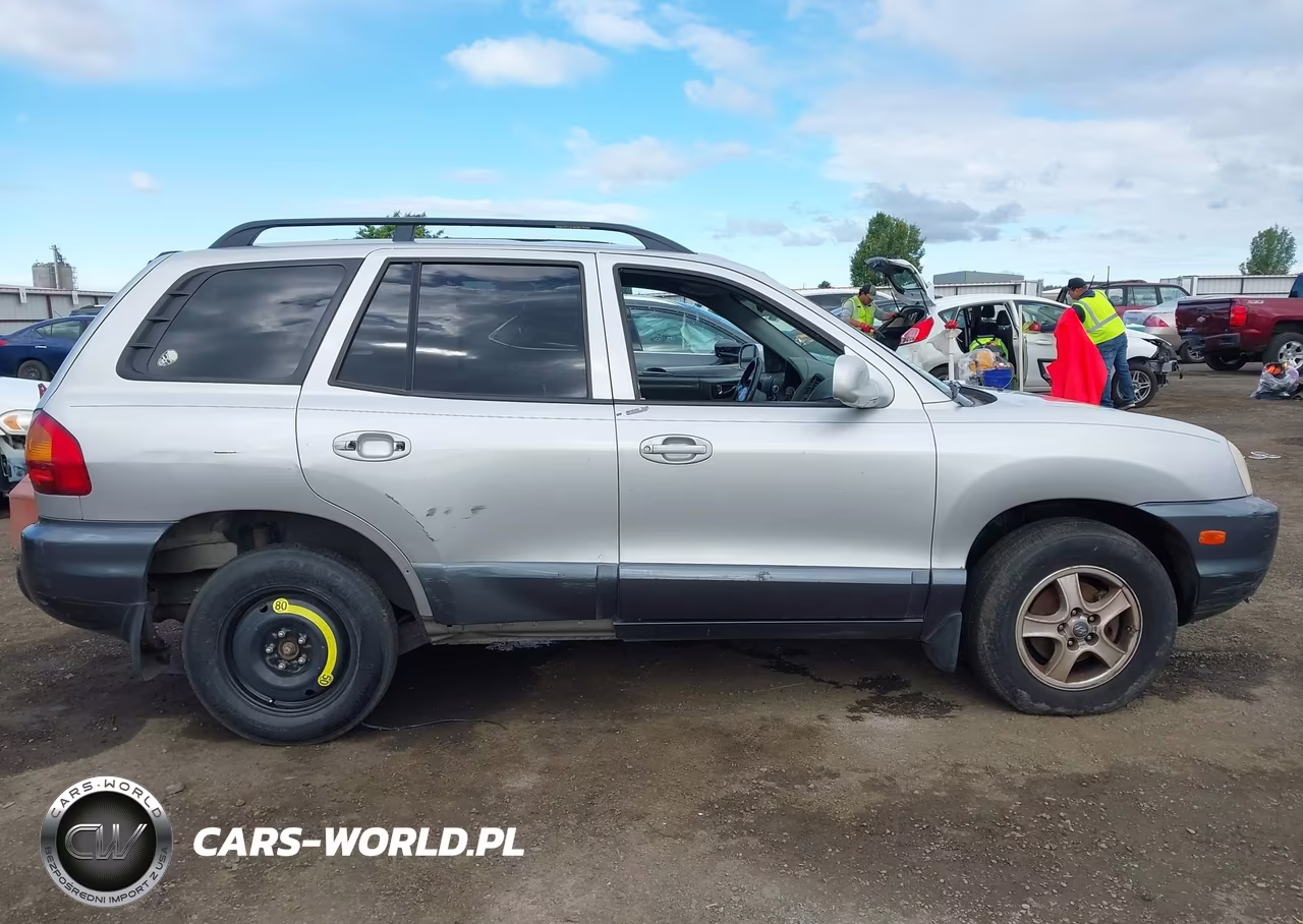 2003 Hyundai Santa Fe Gls-Lx VIN:KM8SC73E63U537027 - 12