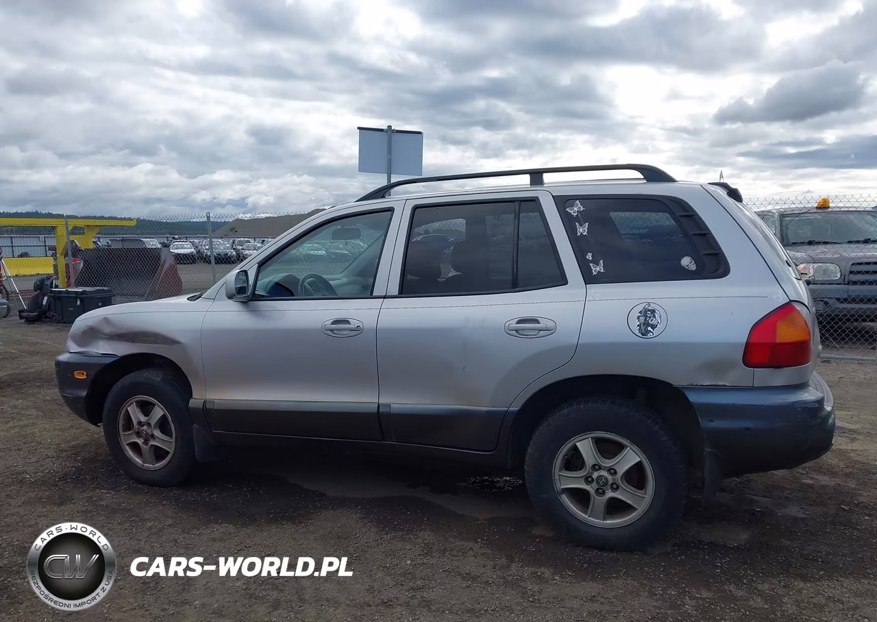 2003 Hyundai Santa Fe Gls-Lx VIN:KM8SC73E63U537027 - 13