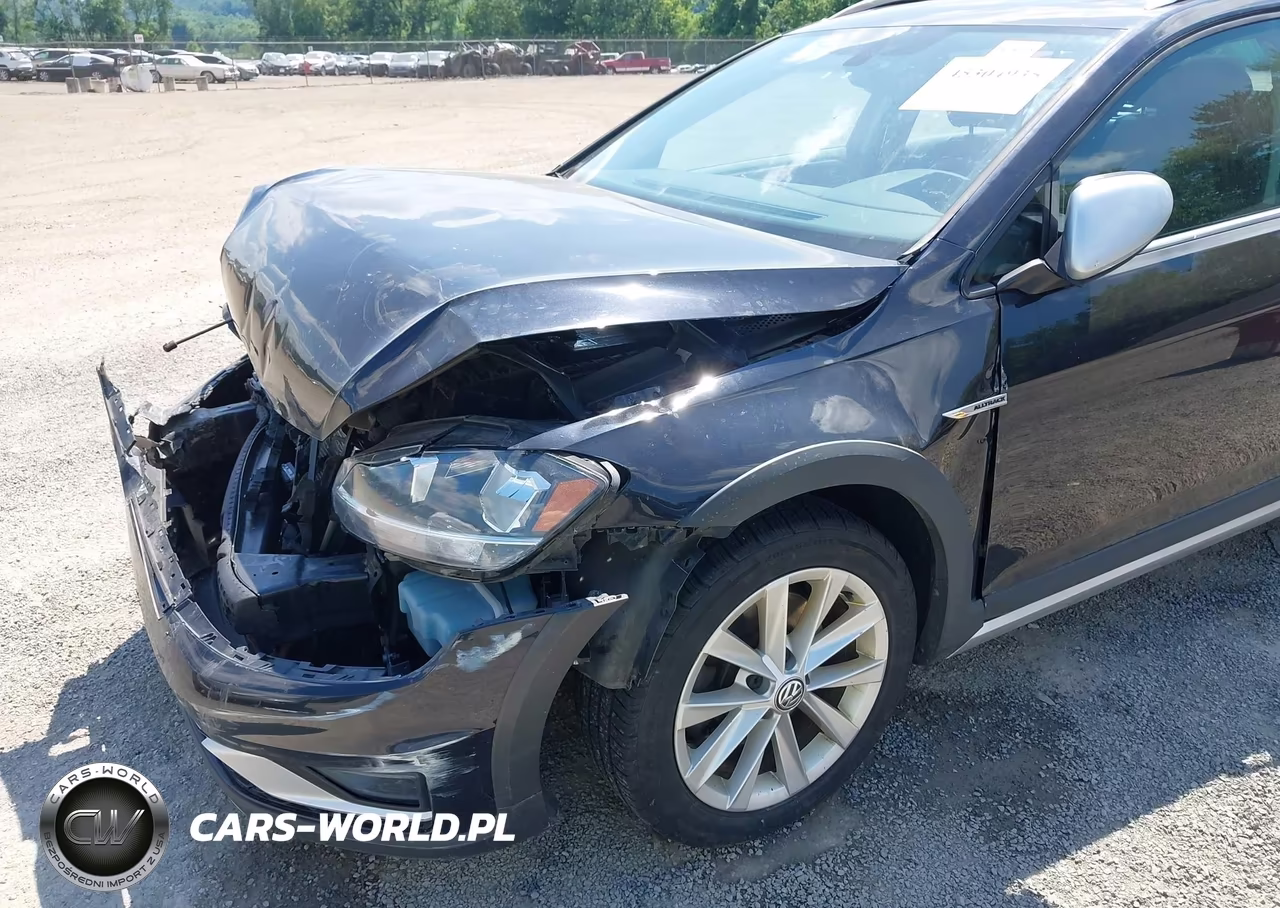 2019 Volkswagen Golf Alltrack Tsi S-Tsi Se-Tsi Sel VIN:3VWM17AU2KM518410 - 6