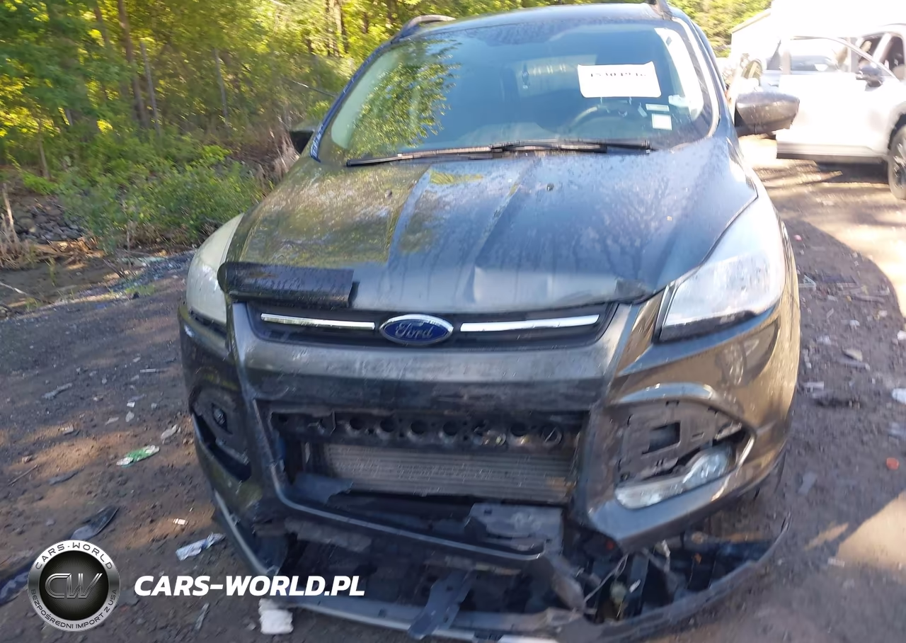 2016 Ford Escape Se VIN:1FMCU9G99GUB42291 - 12