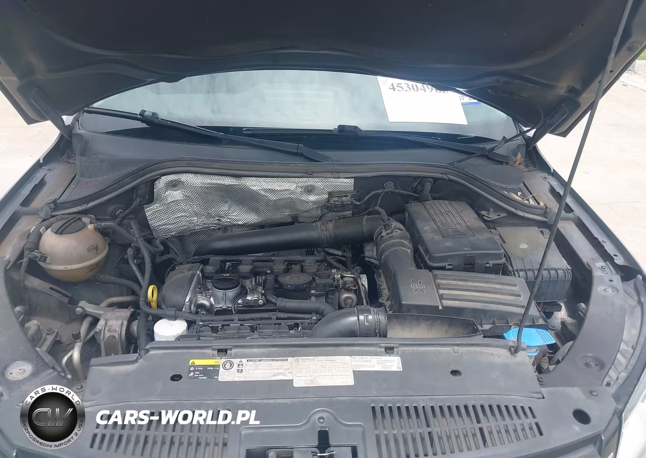 2014 Volkswagen Tiguan S VIN:WVGAV3AX2EW619444 - 10