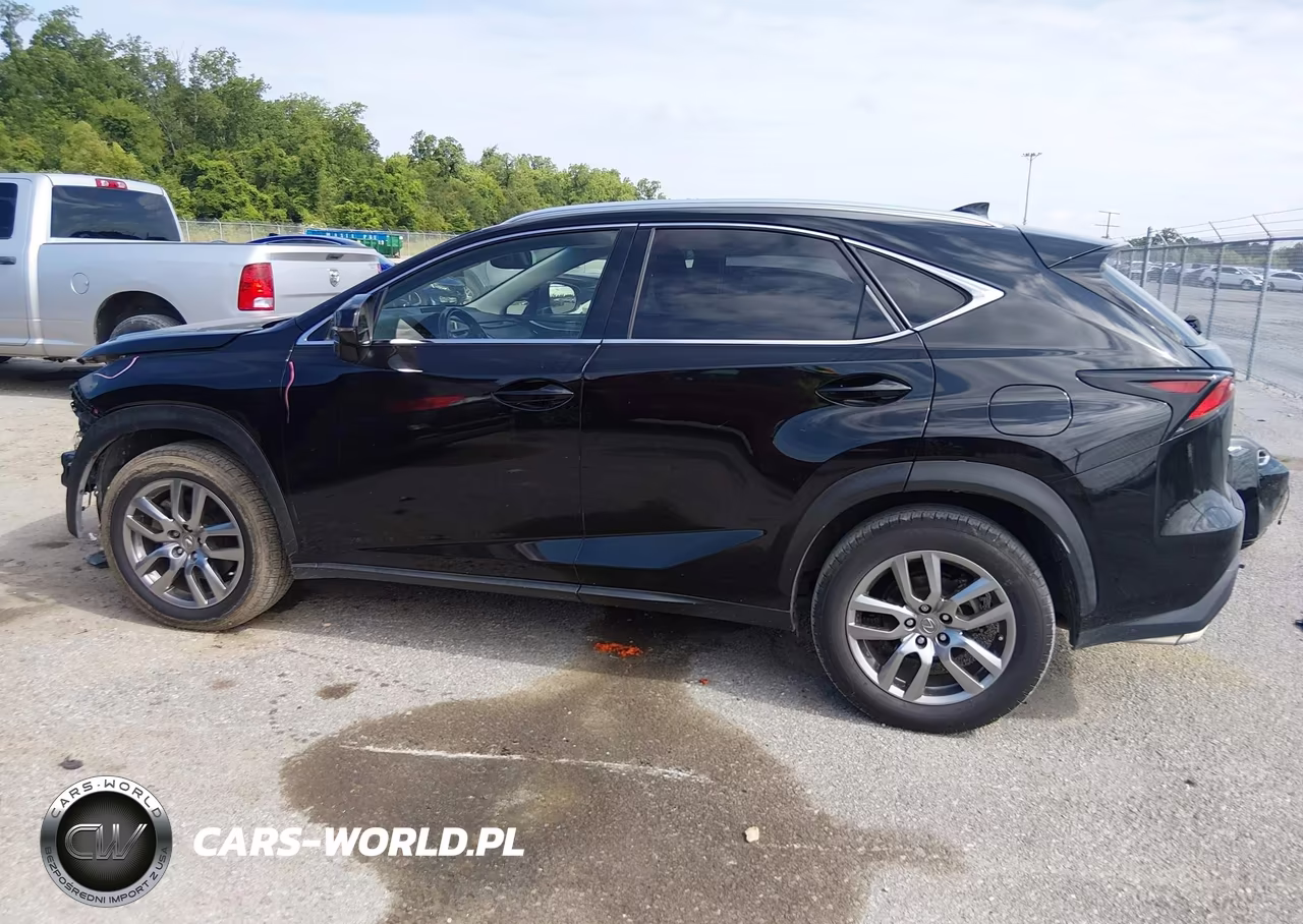 2015 Lexus Nx 200T VIN:JTJYARBZ4F2009021 - 15