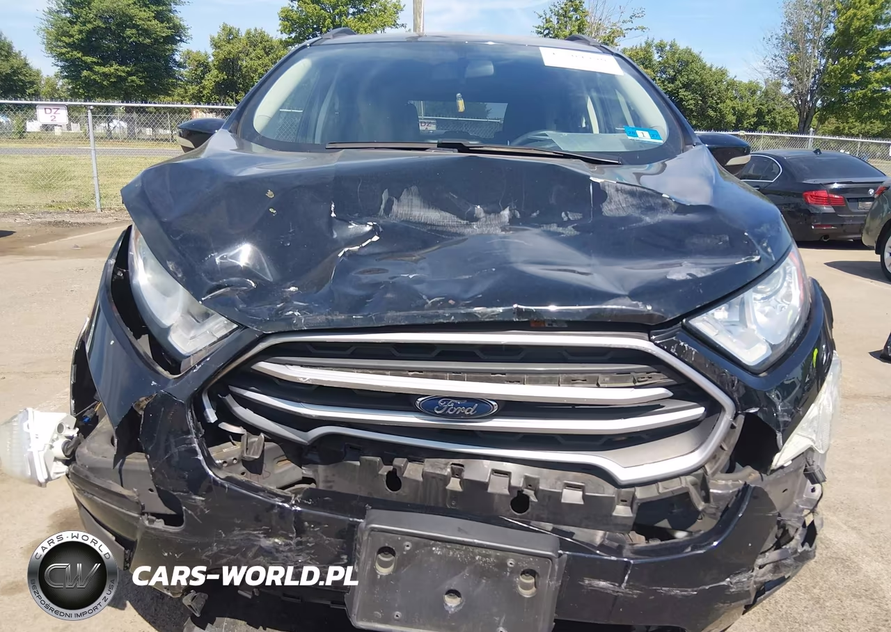 2019 Ford Ecosport Se VIN:MAJ6S3GL0KC298160 - 12