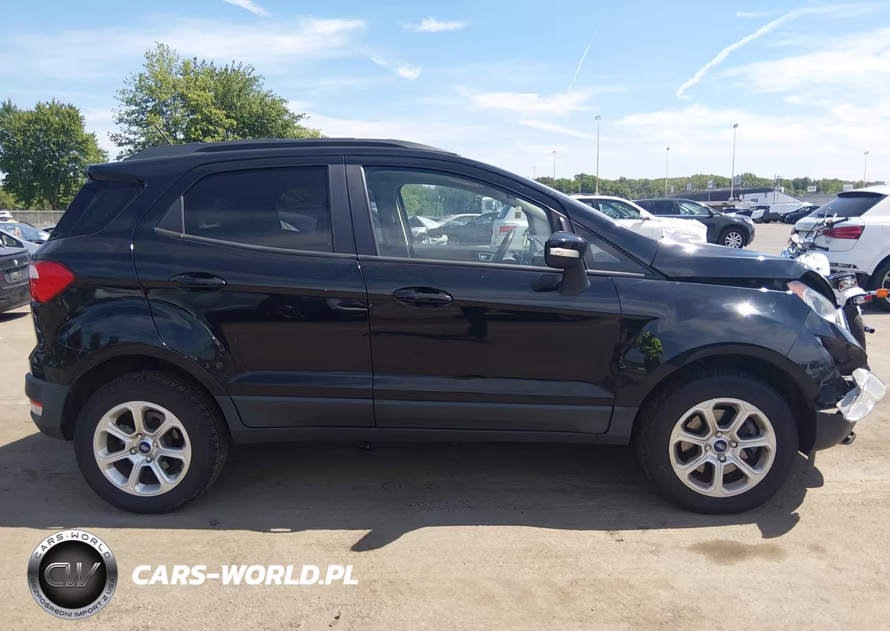 2019 Ford Ecosport Se VIN:MAJ6S3GL0KC298160 - 13