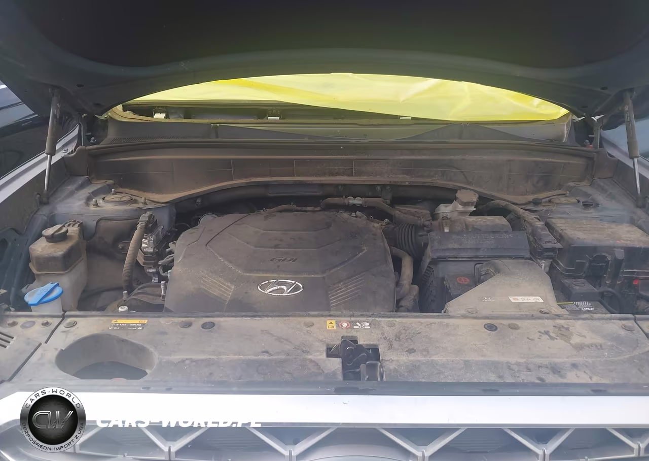 2020 Hyundai Palisade Limited VIN:KM8R5DHE7LU077957 - 10