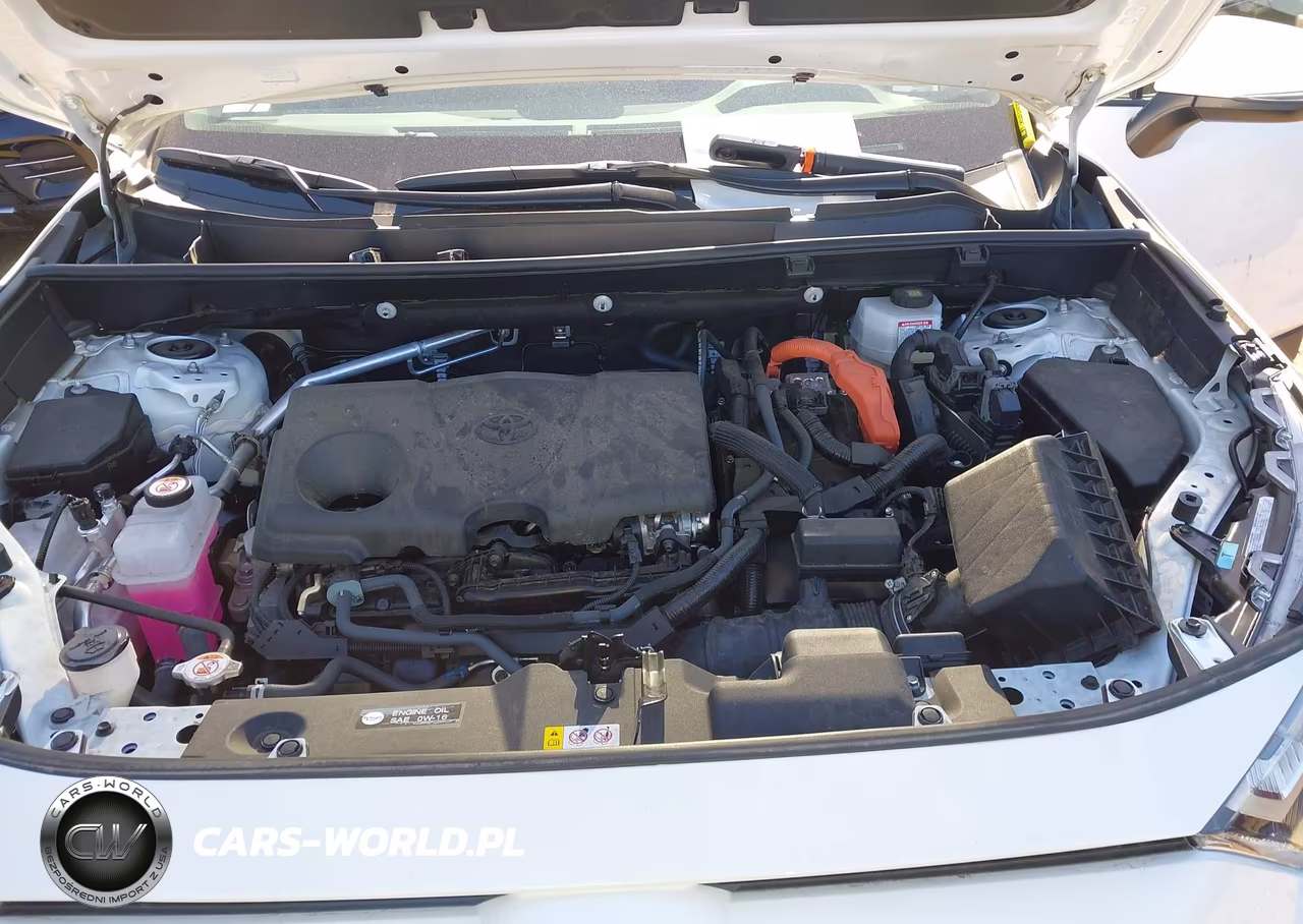2025 Toyota Rav4 Hybrid Xle VIN:4T3RWRFVXSU195276 - 10