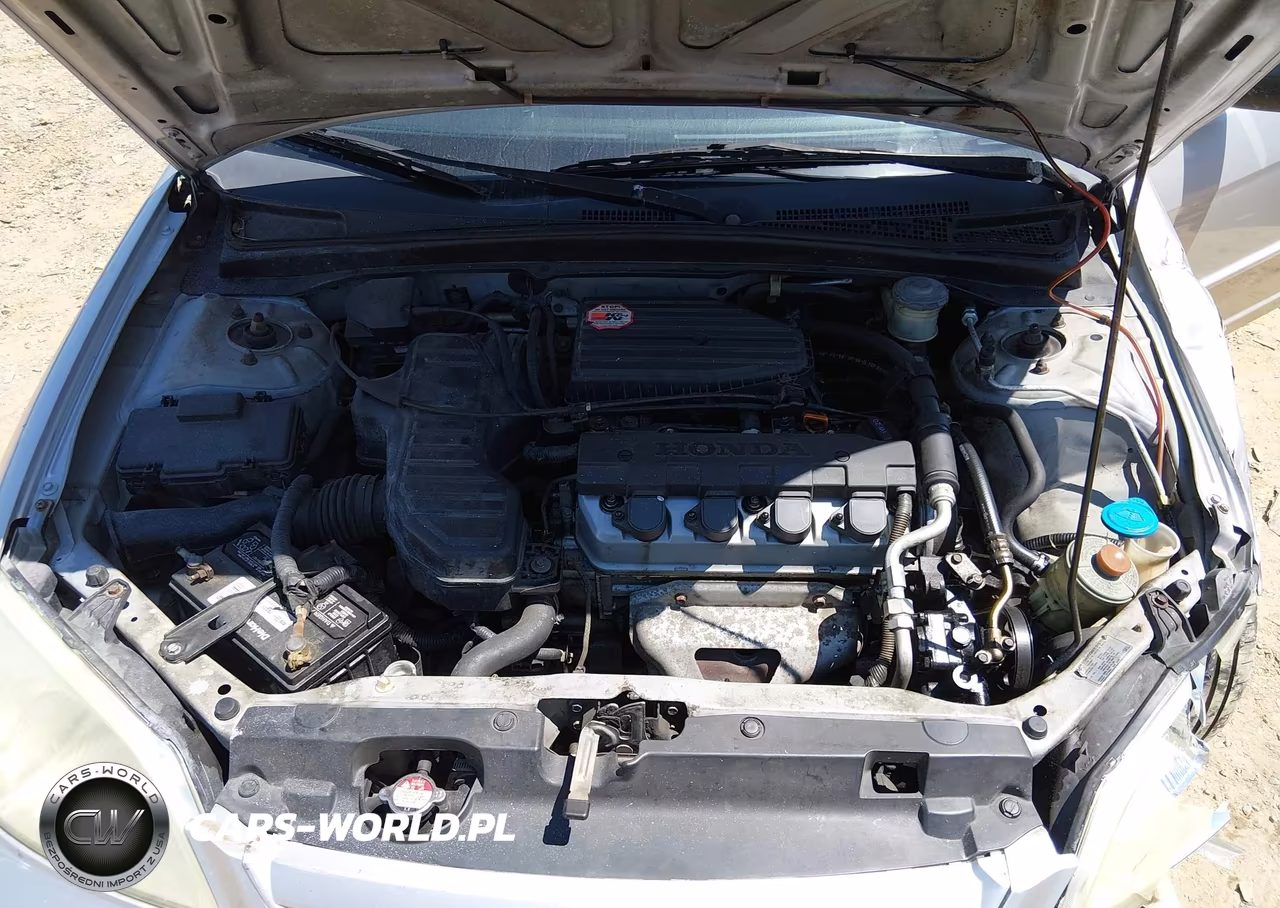 2003 Honda Civic Lx VIN:2HGES16503H620499 - 10