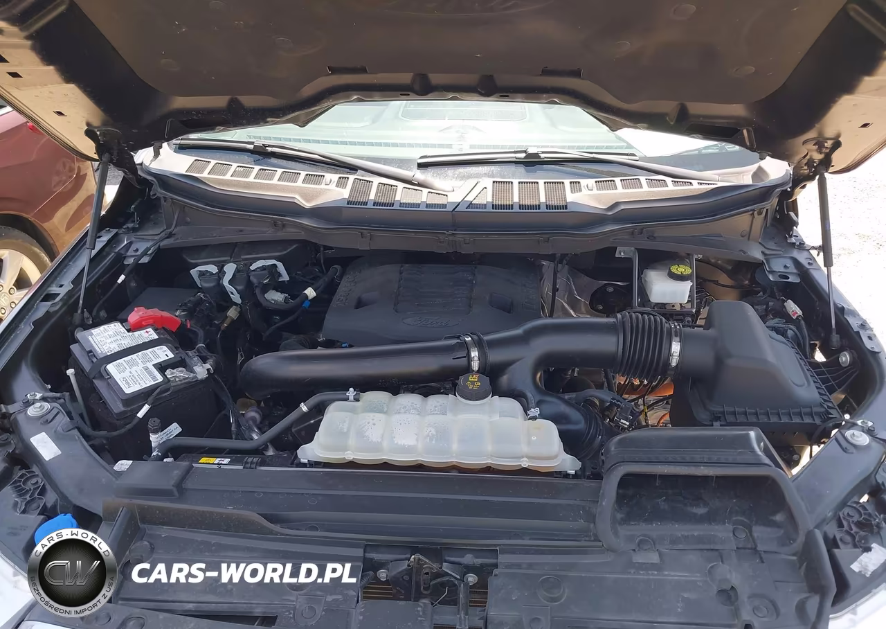 2023 Ford F-150 Platinum VIN:1FTFW1E81PFD17046 - 10