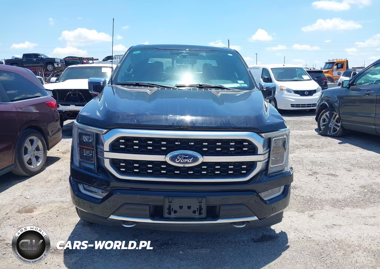 2023 Ford F-150 Platinum VIN:1FTFW1E81PFD17046 - 13