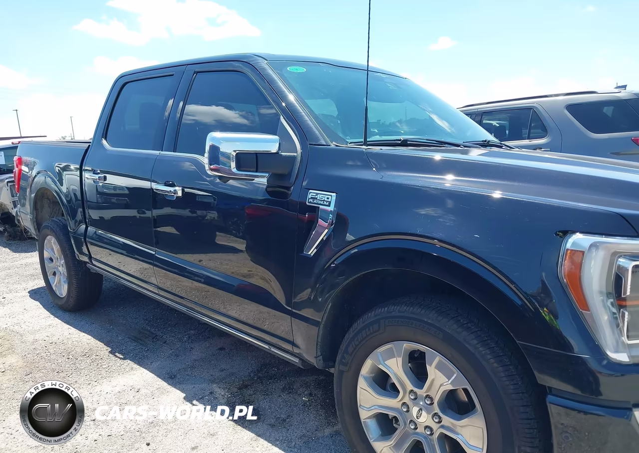 2023 Ford F-150 Platinum VIN:1FTFW1E81PFD17046 - 14