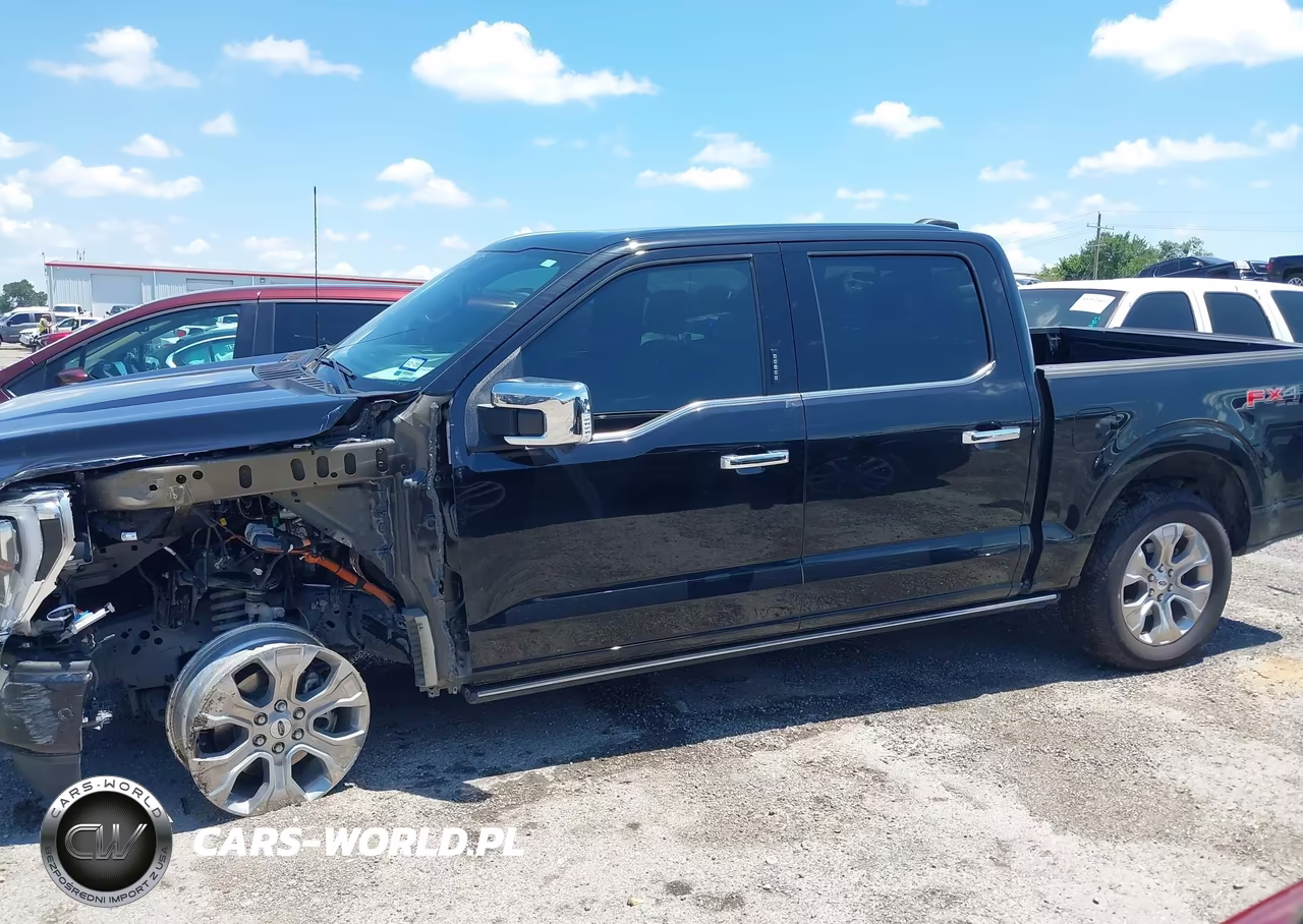 2023 Ford F-150 Platinum VIN:1FTFW1E81PFD17046 - 15