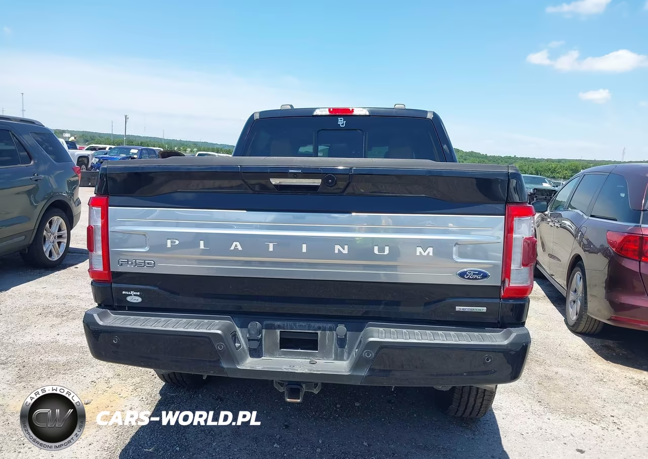 2023 Ford F-150 Platinum VIN:1FTFW1E81PFD17046 - 17
