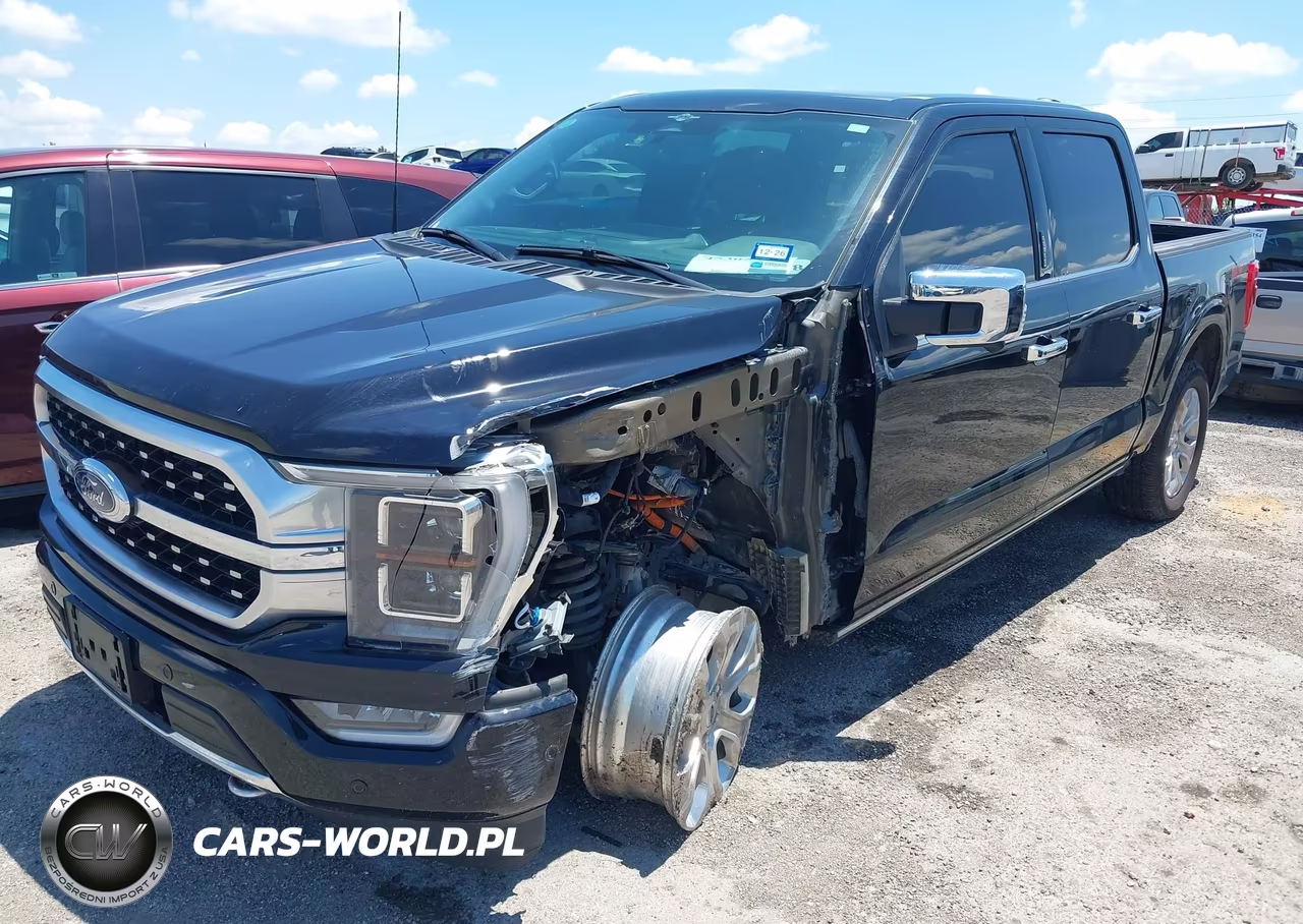 2023 Ford F-150 Platinum VIN:1FTFW1E81PFD17046 - 2