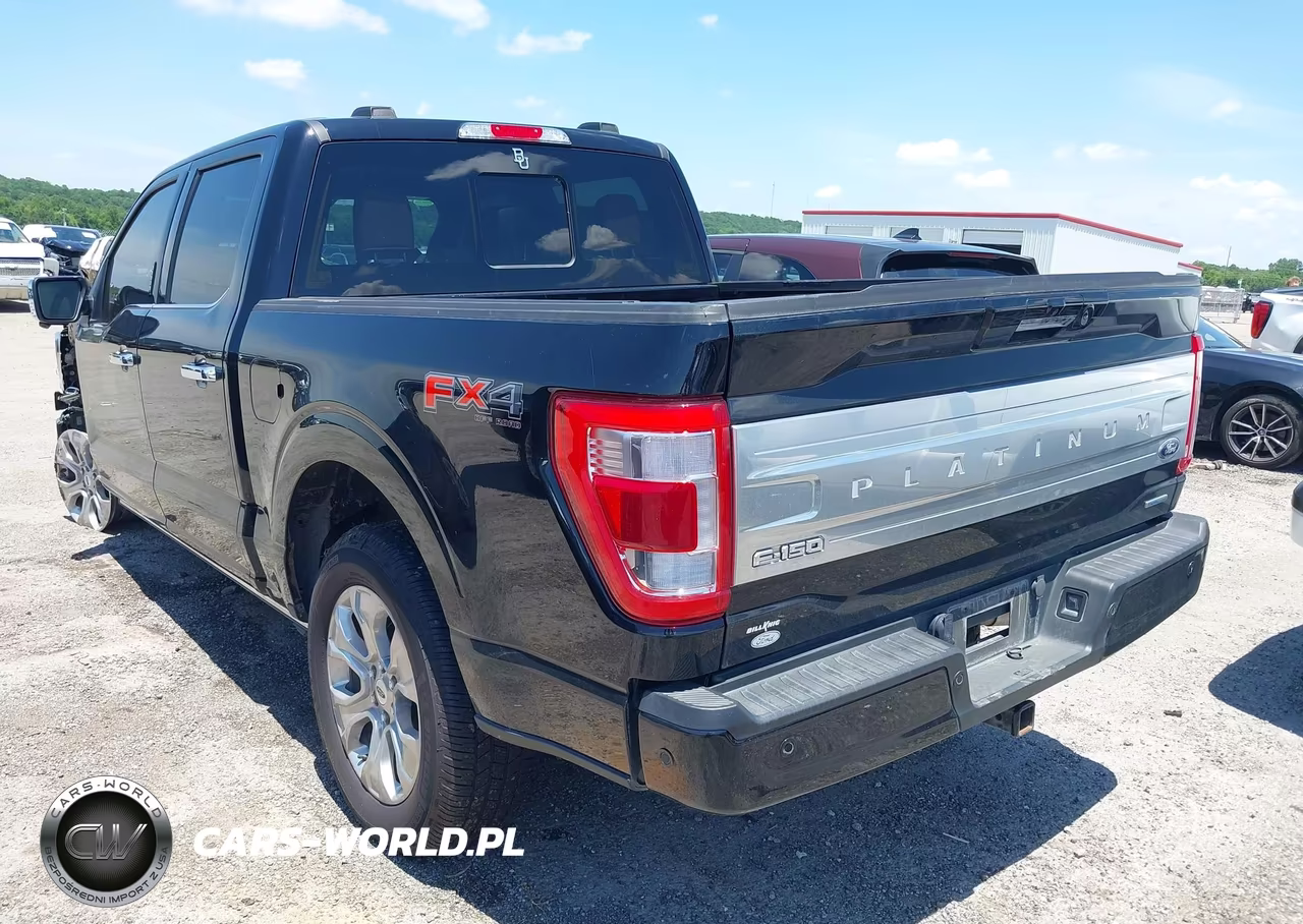 2023 Ford F-150 Platinum VIN:1FTFW1E81PFD17046 - 3
