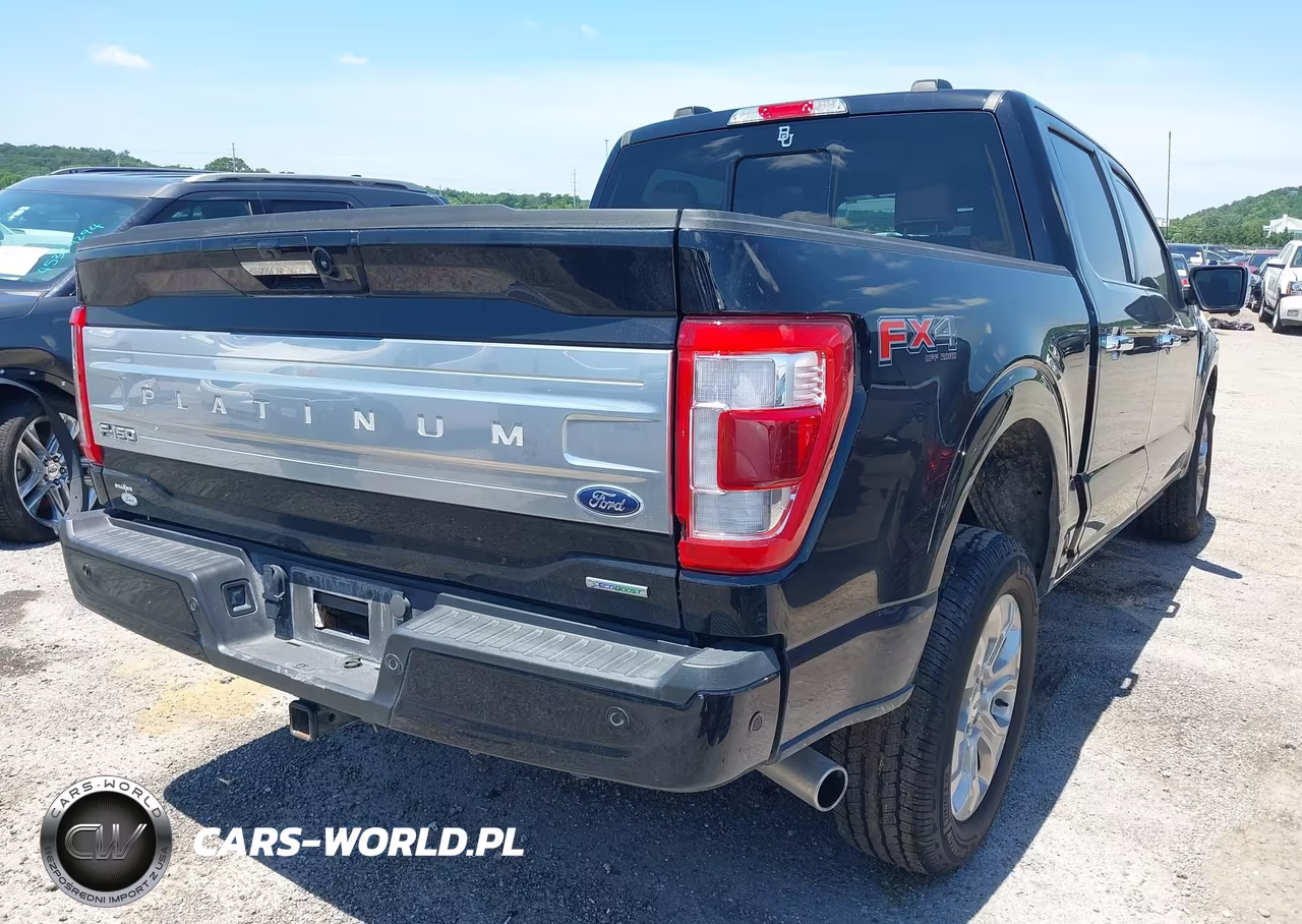 2023 Ford F-150 Platinum VIN:1FTFW1E81PFD17046 - 4