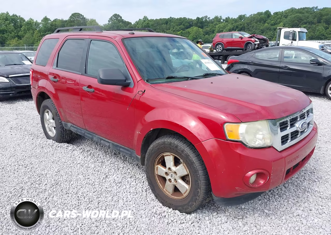 2010 Ford Escape Xlt