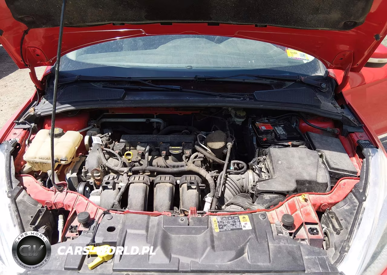 2015 Ford Focus Se VIN:1FADP3F20FL204009 - 10