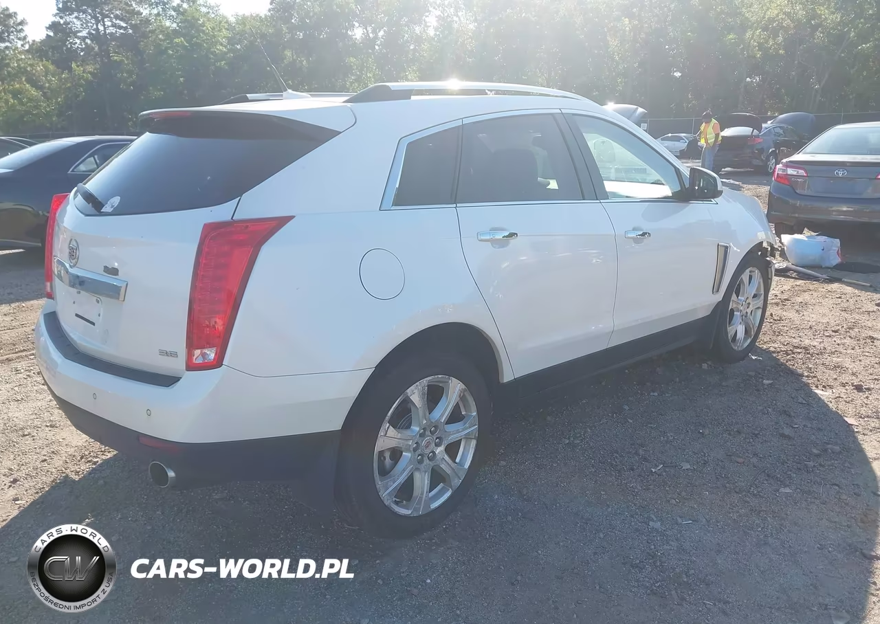 2014 Cadillac Srx Premium Collection VIN:3GYFNGE36ES562714 - 4