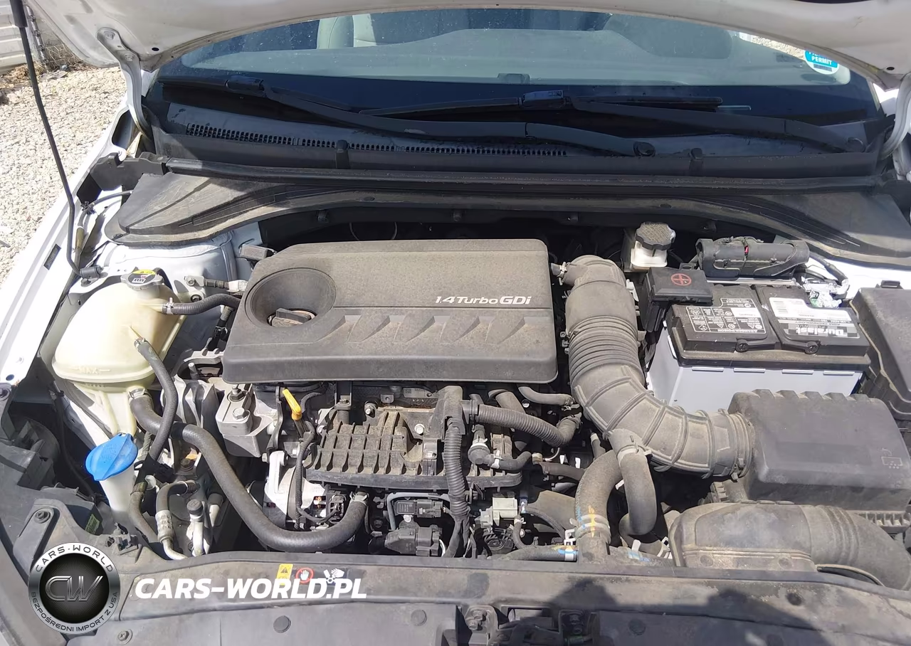2017 Hyundai Elantra Eco VIN:5NPD94LA5HH075519 - 10