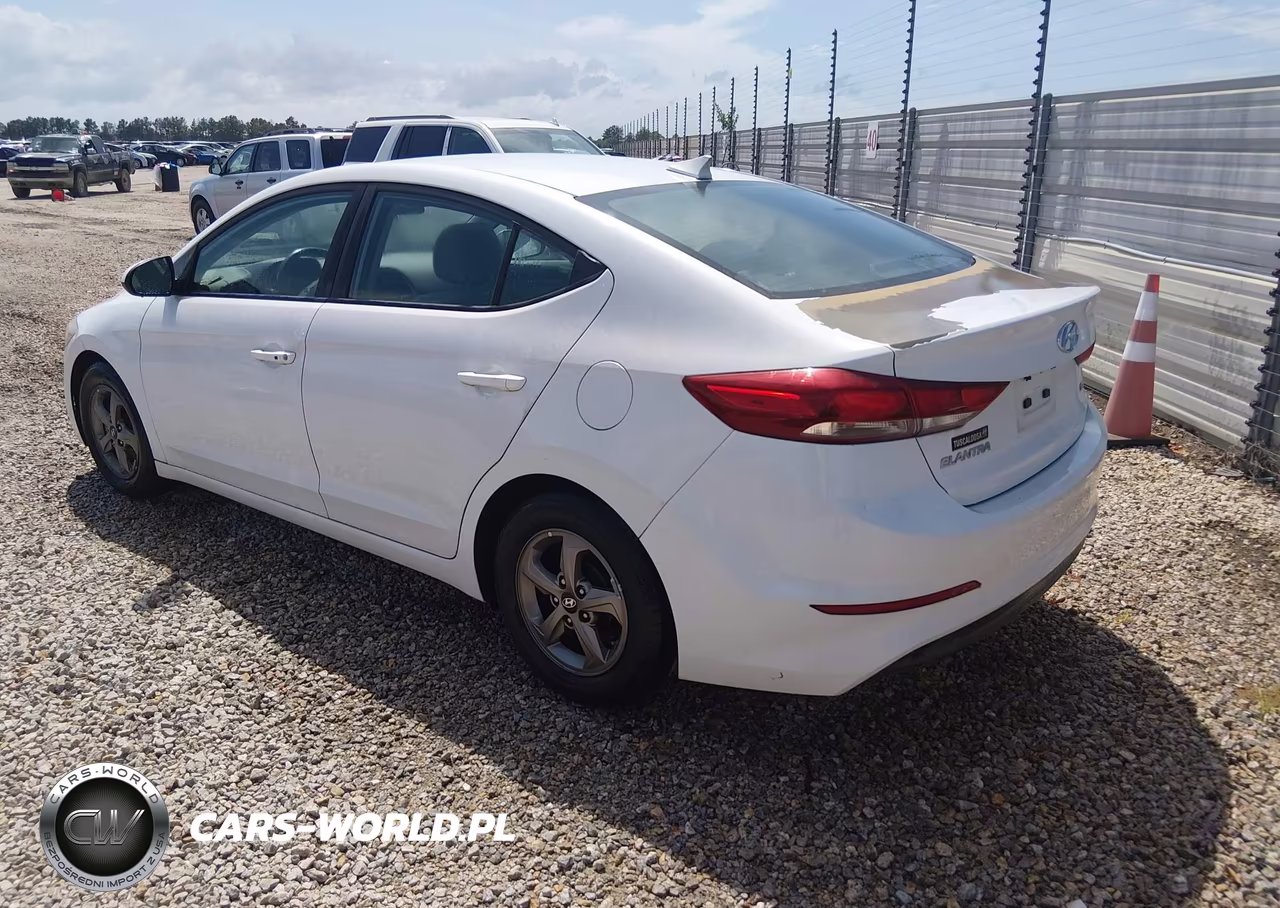 2017 Hyundai Elantra Eco VIN:5NPD94LA5HH075519 - 3