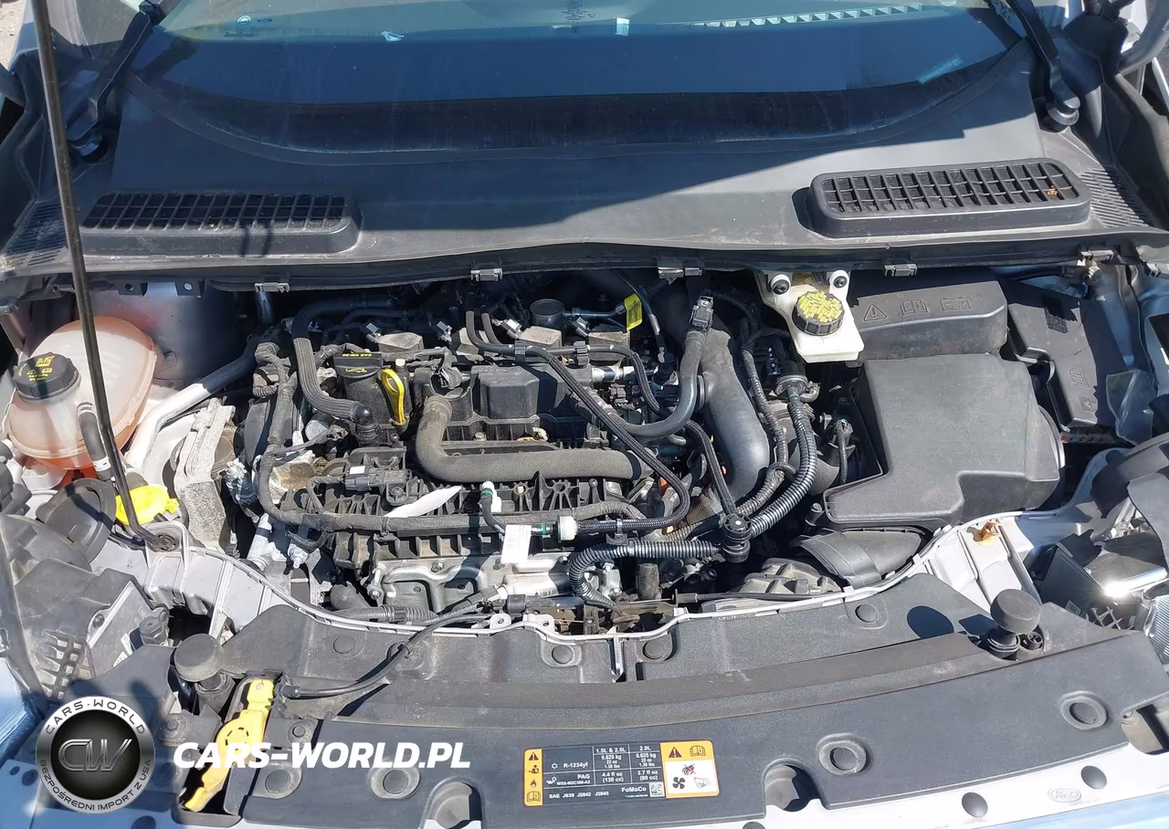 2019 Ford Escape Sel VIN:1FMCU0HD4KUB47230 - 10