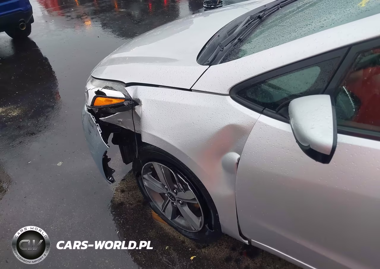2018 Kia Forte Lx VIN:3KPFL4A76JE244989 - 17