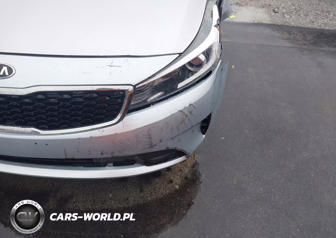 2018 Kia Forte Lx VIN:3KPFL4A76JE244989 - 18