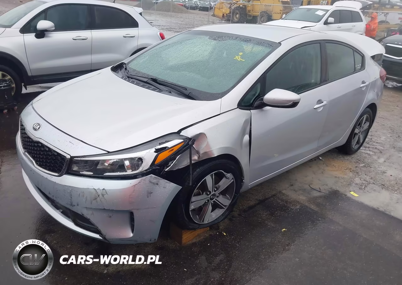 2018 Kia Forte Lx VIN:3KPFL4A76JE244989 - 2