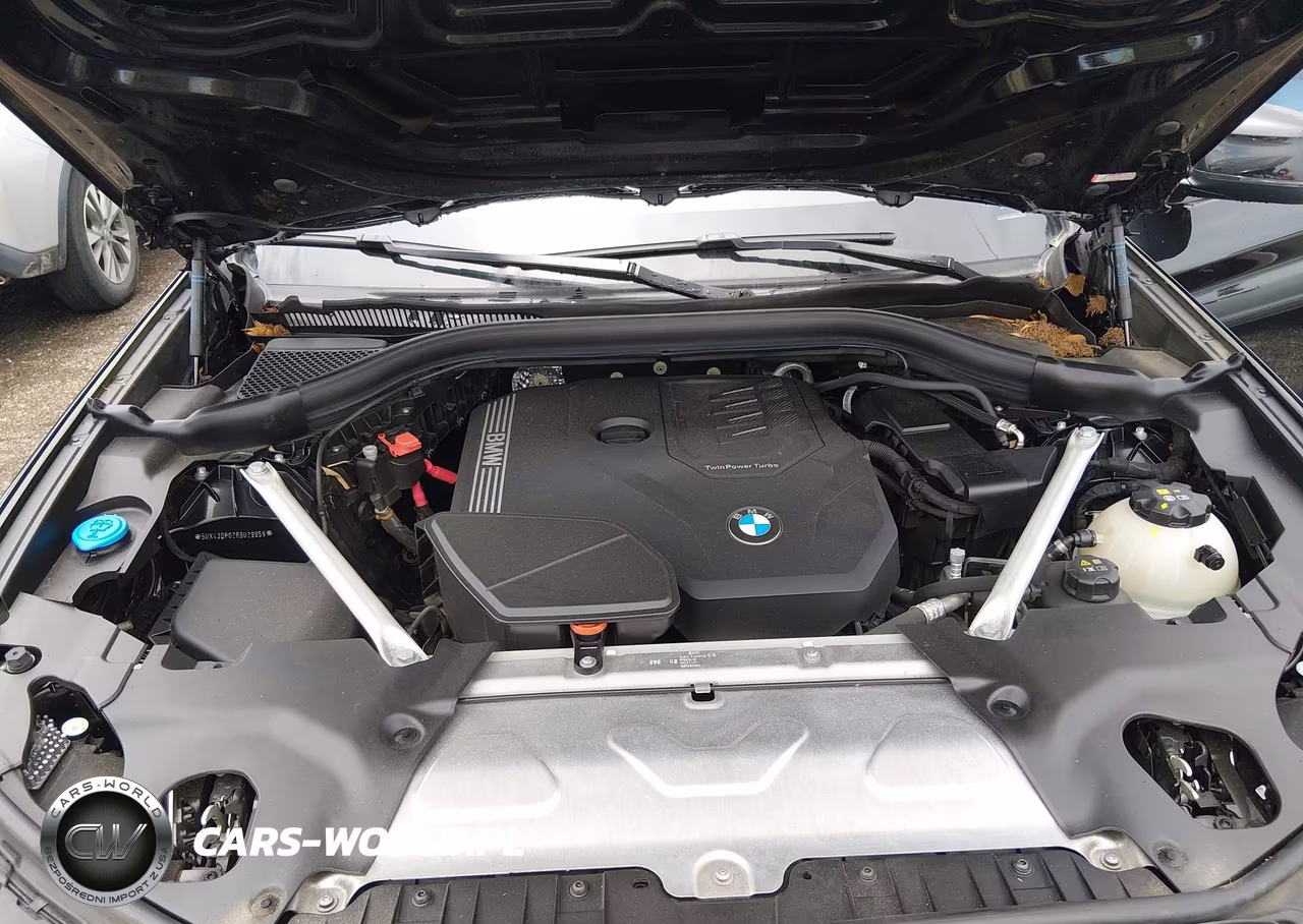 2024 BMW X3 Sdrive30I VIN:5UX43DP02R9U29959 - 10