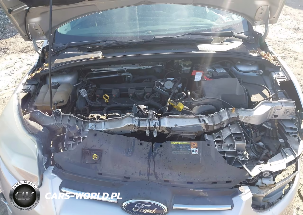 2013 Ford Focus S VIN:1FADP3E26DL180636 - 10
