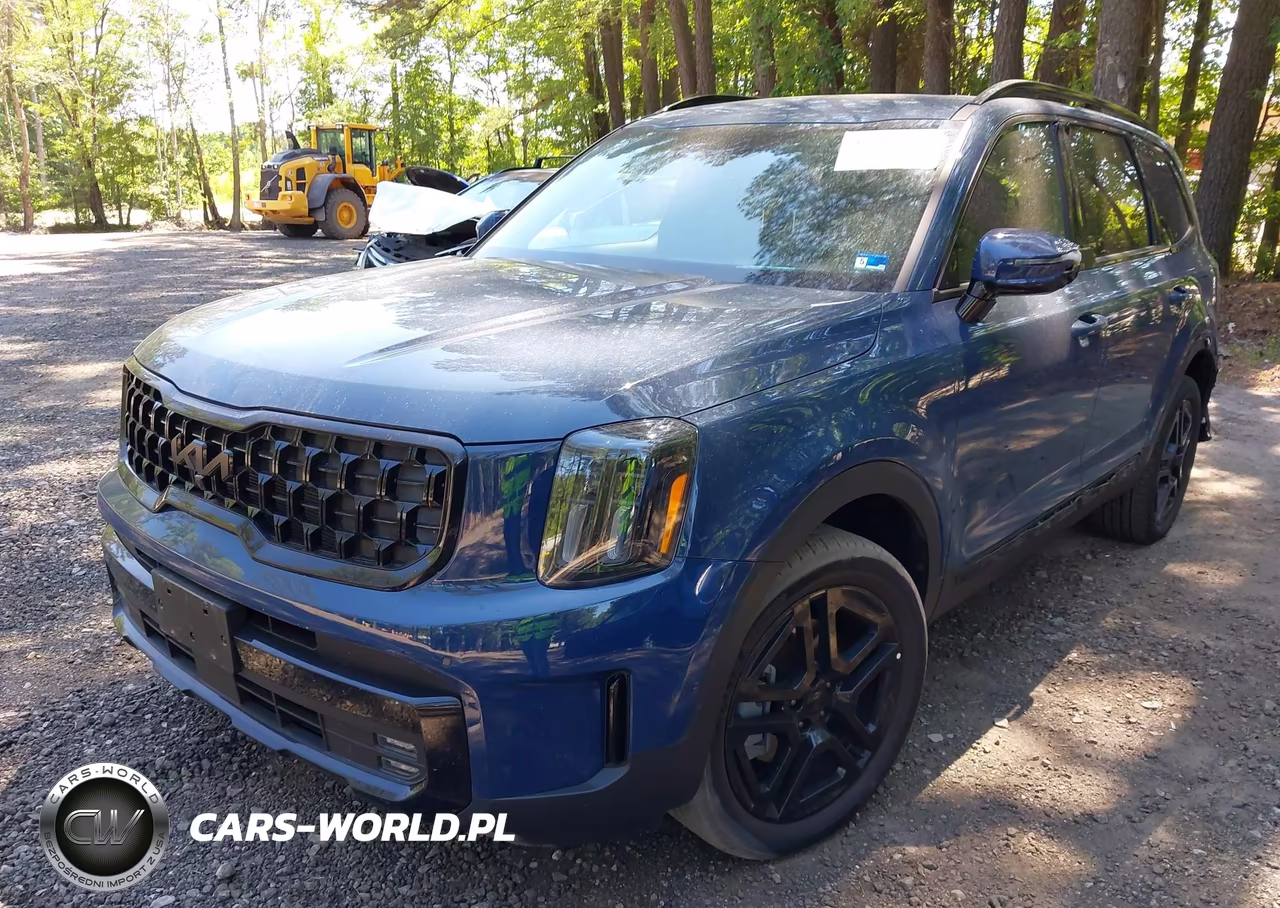 2025 Kia Telluride Sx Prestige X-Line VIN:5XYP5DGC7SG659875 - 2