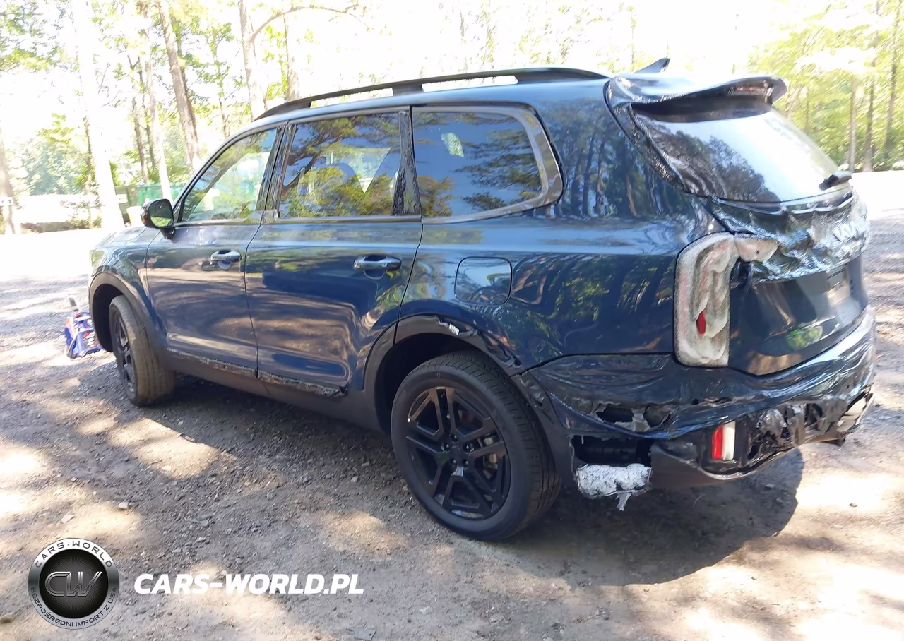 2025 Kia Telluride Sx Prestige X-Line VIN:5XYP5DGC7SG659875 - 3