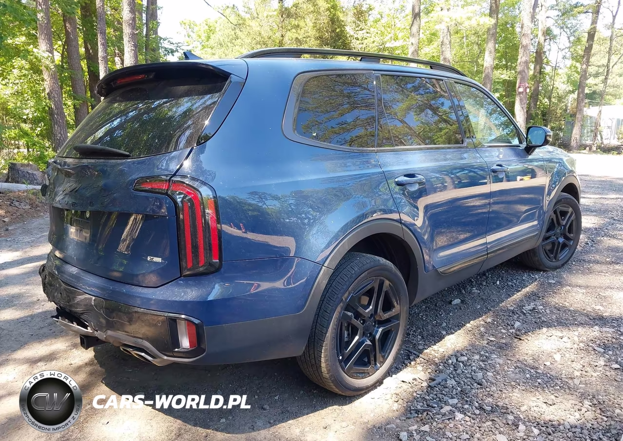 2025 Kia Telluride Sx Prestige X-Line VIN:5XYP5DGC7SG659875 - 4
