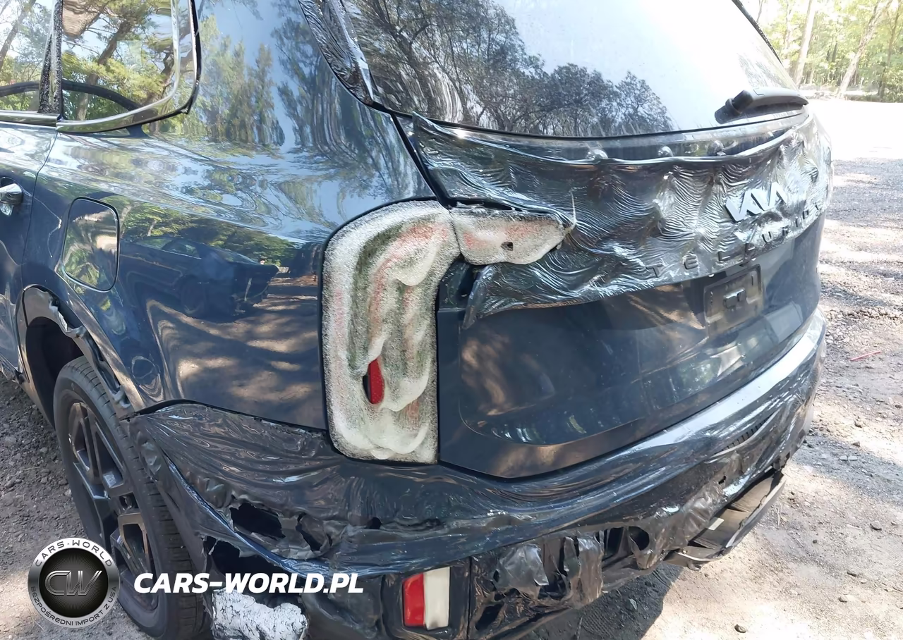 2025 Kia Telluride Sx Prestige X-Line VIN:5XYP5DGC7SG659875 - 6