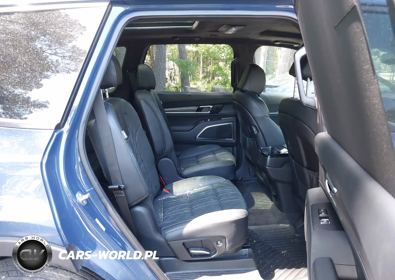 2025 Kia Telluride Sx Prestige X-Line VIN:5XYP5DGC7SG659875 - 8