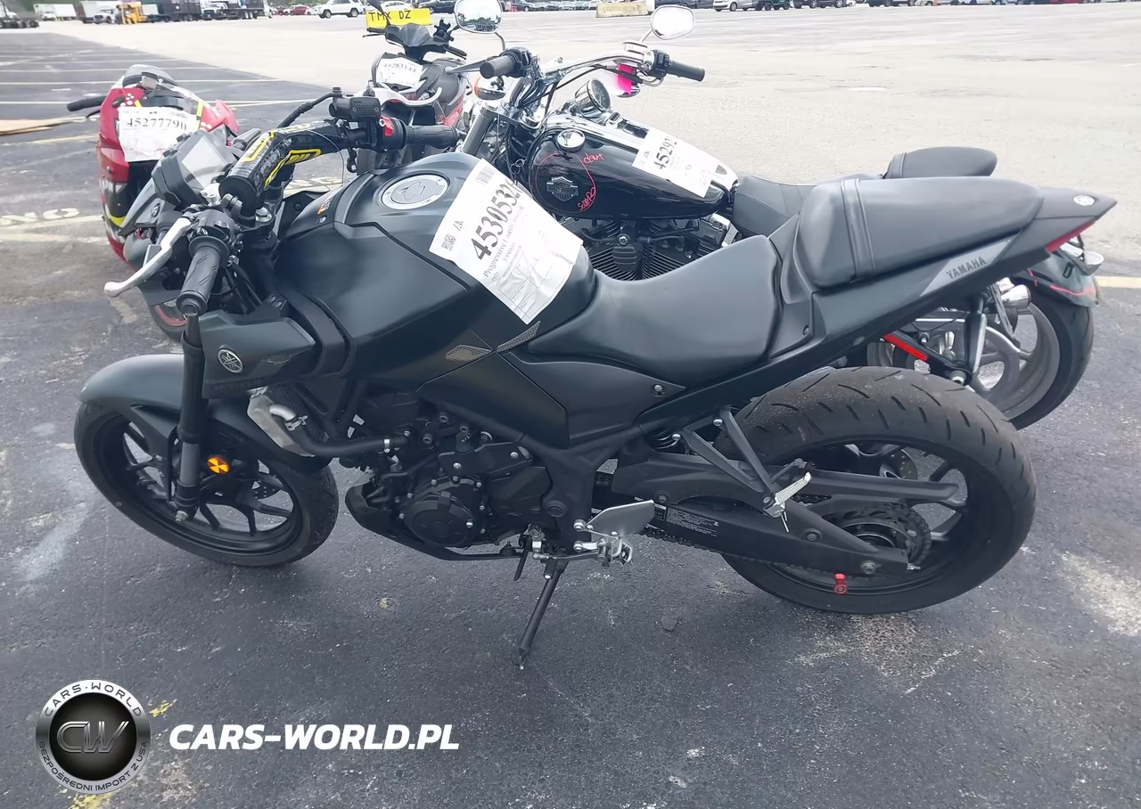 2021 Yamaha Mt-03 VIN:MH3RH20Y6MK004793 - 13