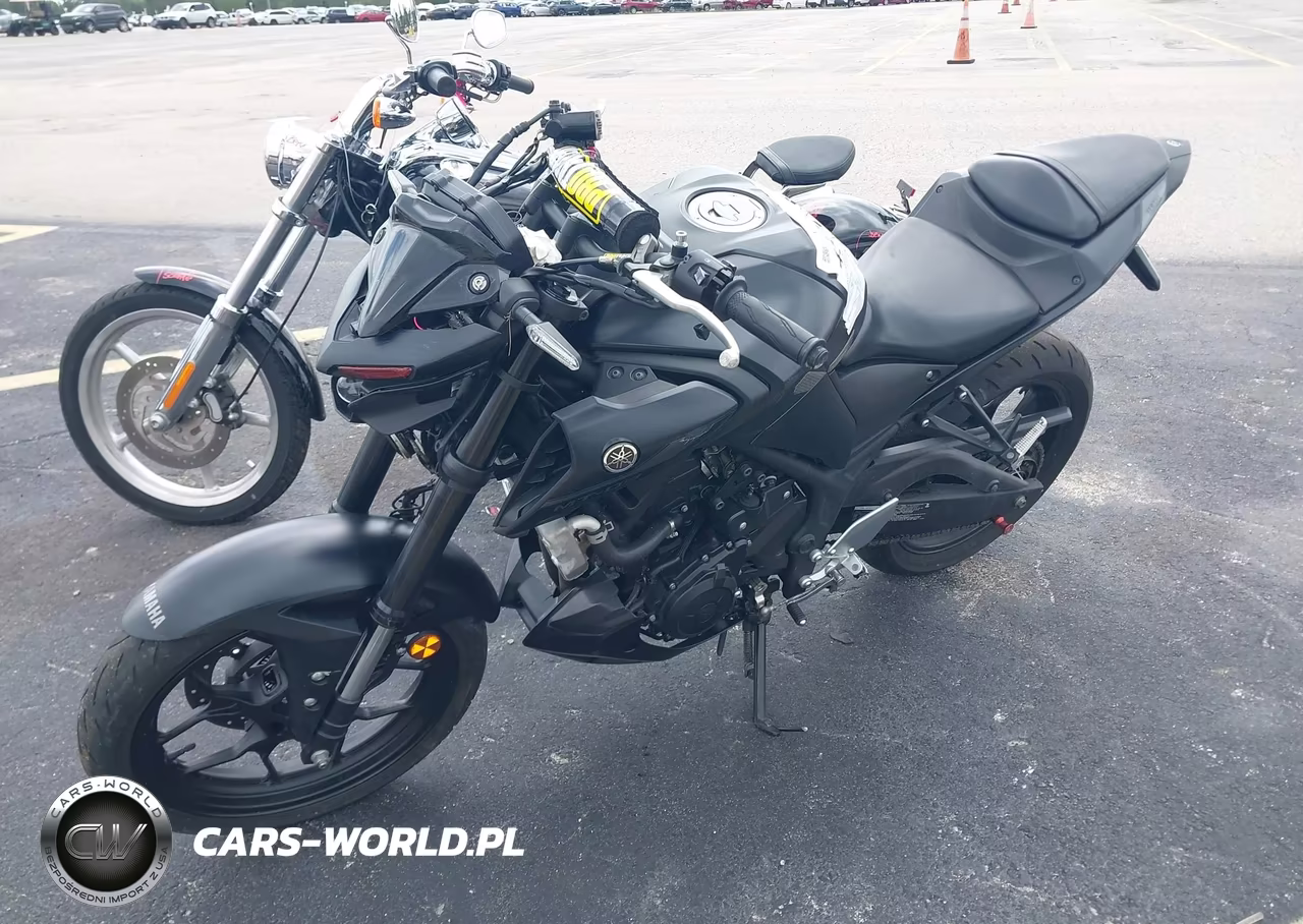 2021 Yamaha Mt-03 VIN:MH3RH20Y6MK004793 - 2
